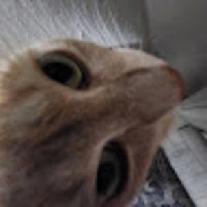 Meet your Posher, Ely